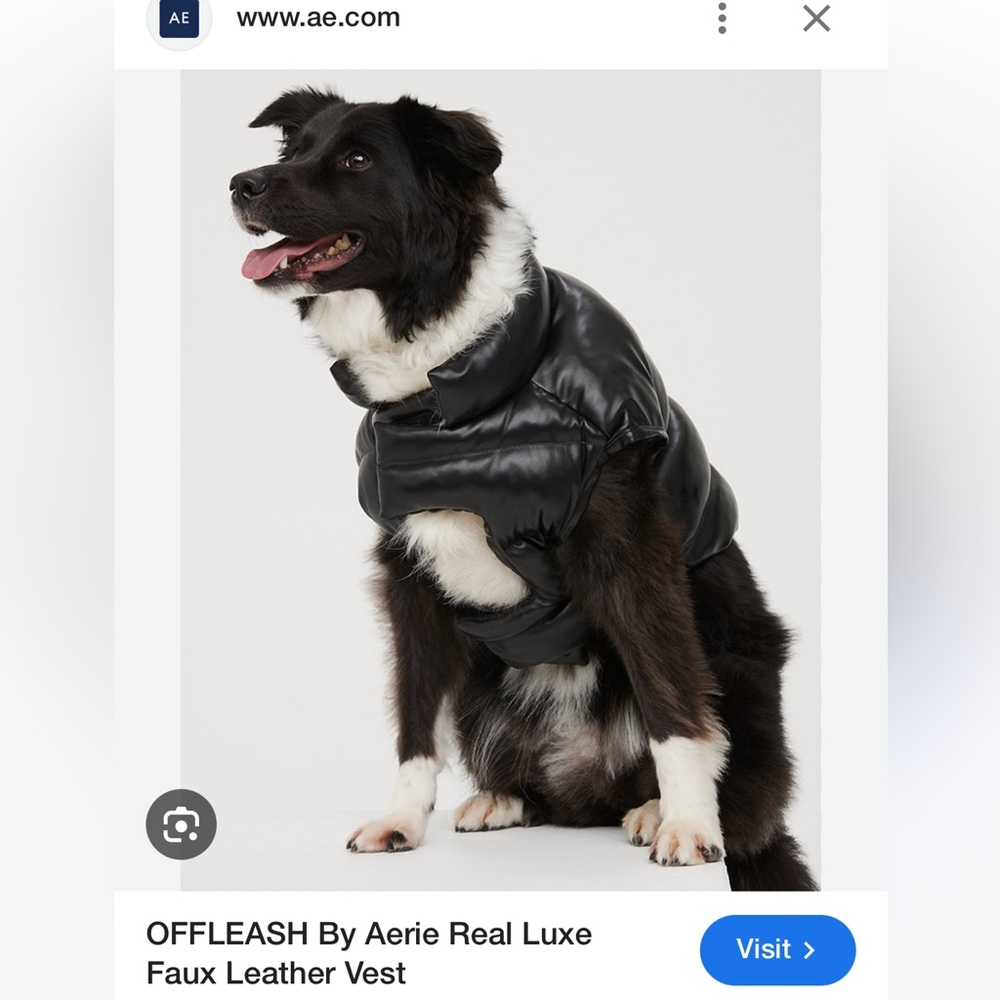 Aerie black dog vest